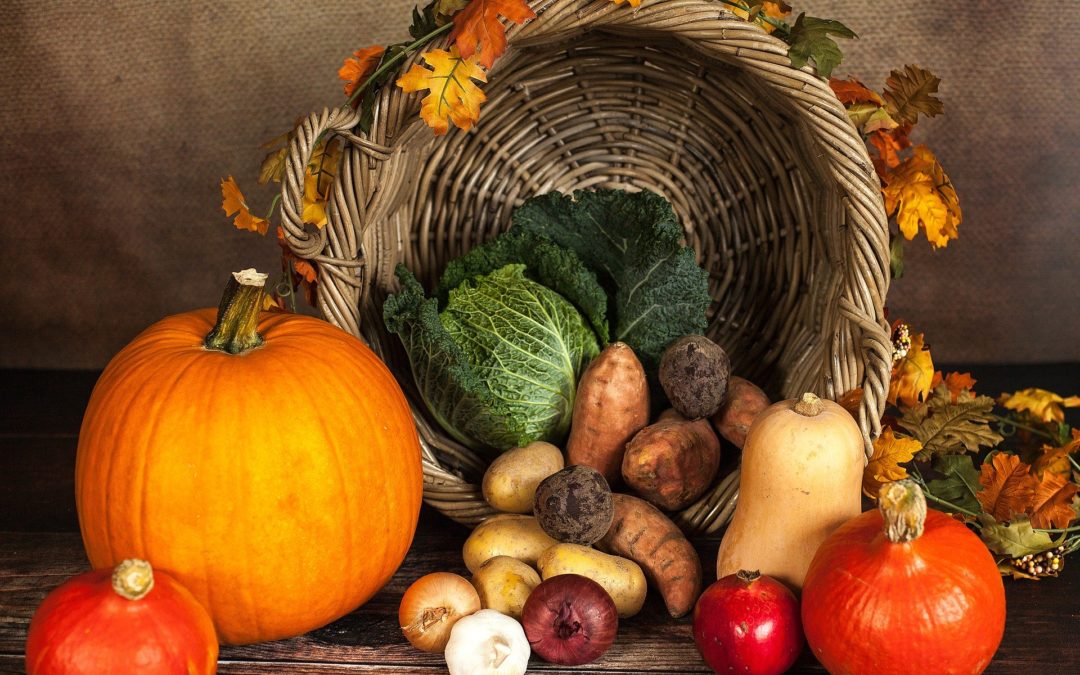 Happy Thanksgiving