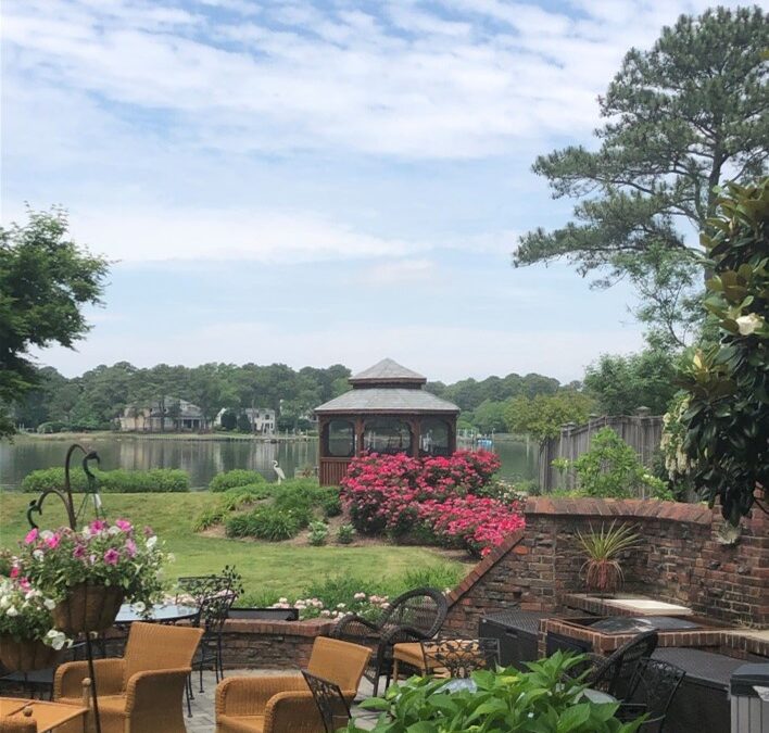 Summer Membership Social